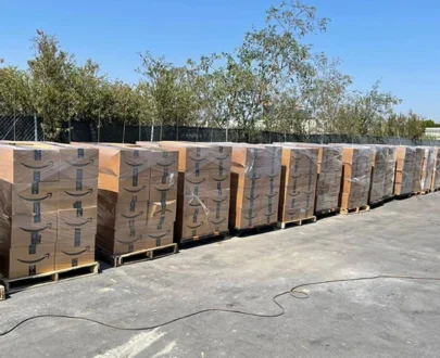 Amazon Global Online Pallet